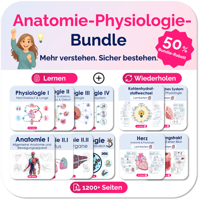 Anatomie & Physiologie-Bundle