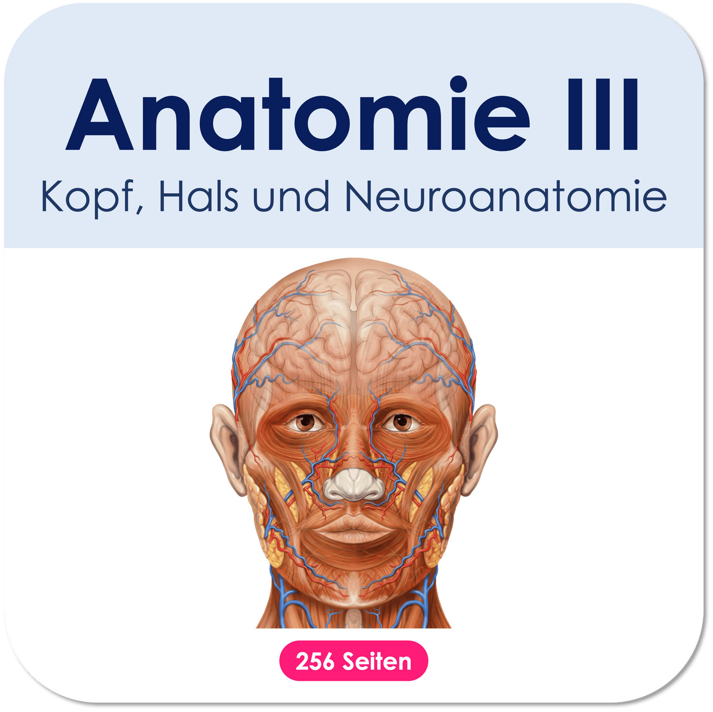 Anatomie III. - Kopf, Hals und Neuroanatomie