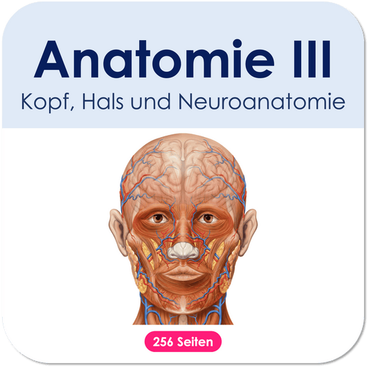 Anatomie III. - Kopf, Hals und Neuroanatomie