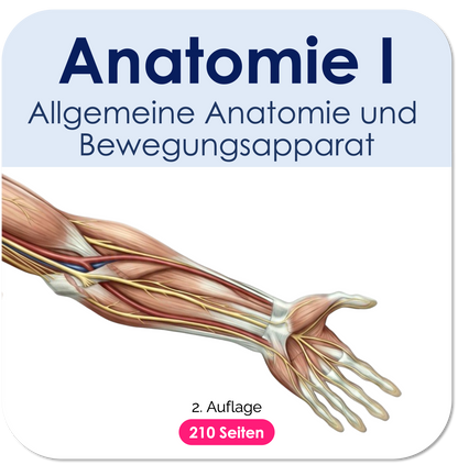 Anatomie I. - Allgemeine Anatomie und Bewegungsapparat