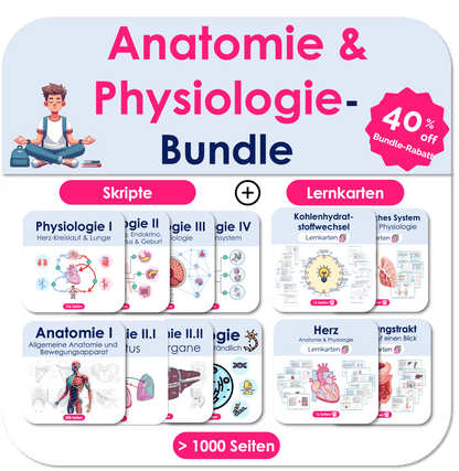 Anatomie & Physiologie-Bundle