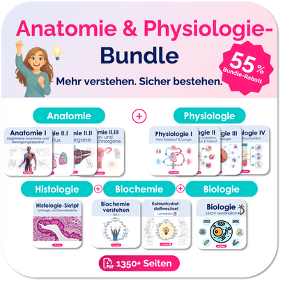 Anatomie und Physiologie