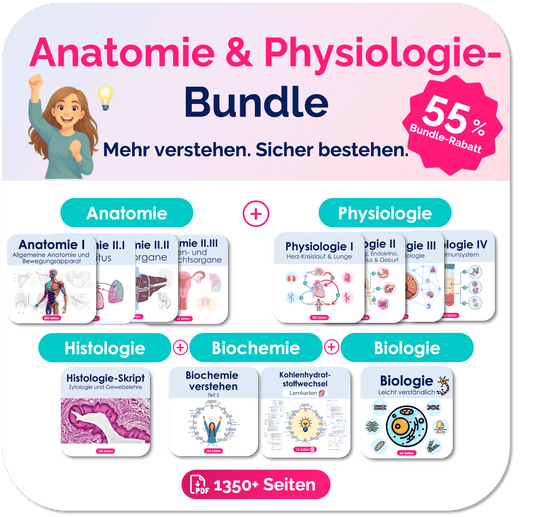 Anatomie und Physiologie