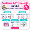 Anatomie und Physiologie - Jetzt entdecken und sparen