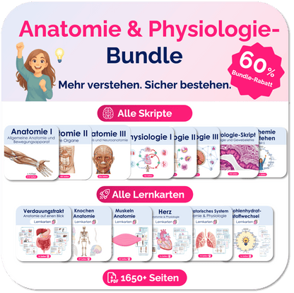Anatomie_und_Physiologie_Skripte