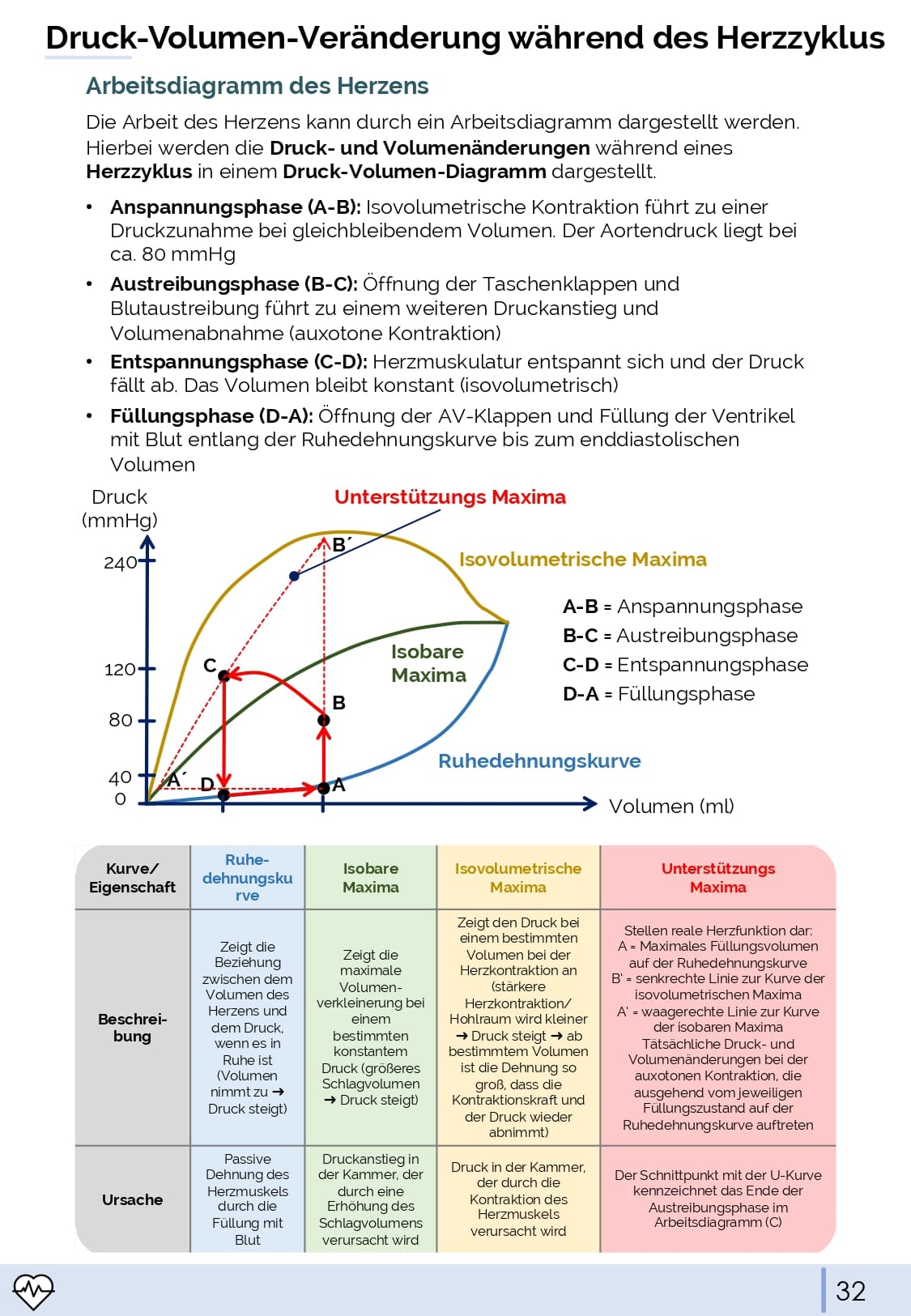 Physiologie-Skript Teil 1