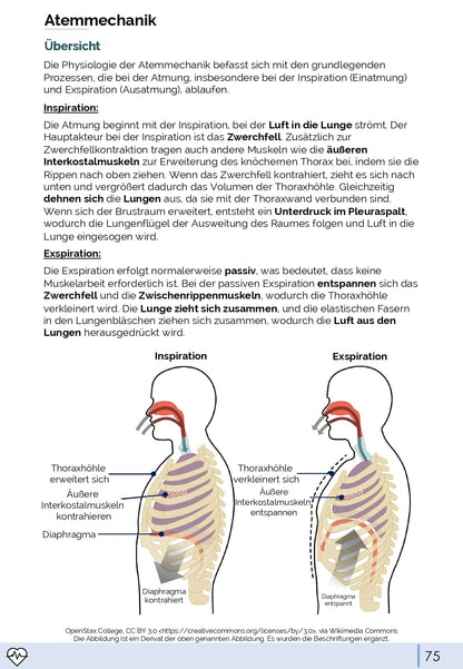 Physiologie-Skript Teil 1