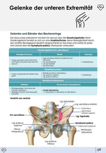 Anatomie I. - Allgemeine Anatomie und Bewegungsapparat