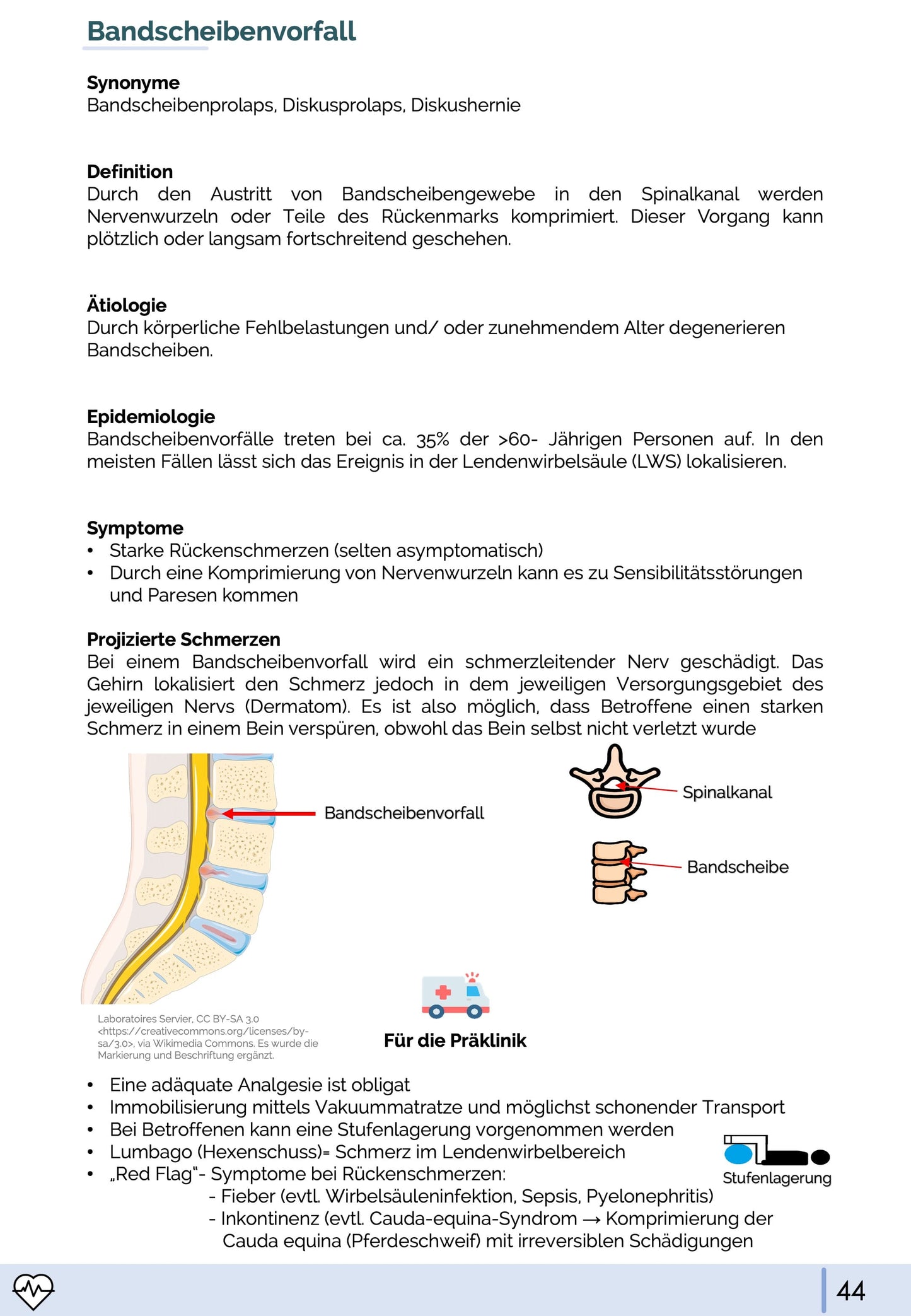 Neurologie für den Rettungsdienst