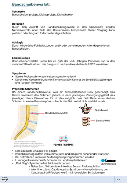 Neurologie für den Rettungsdienst