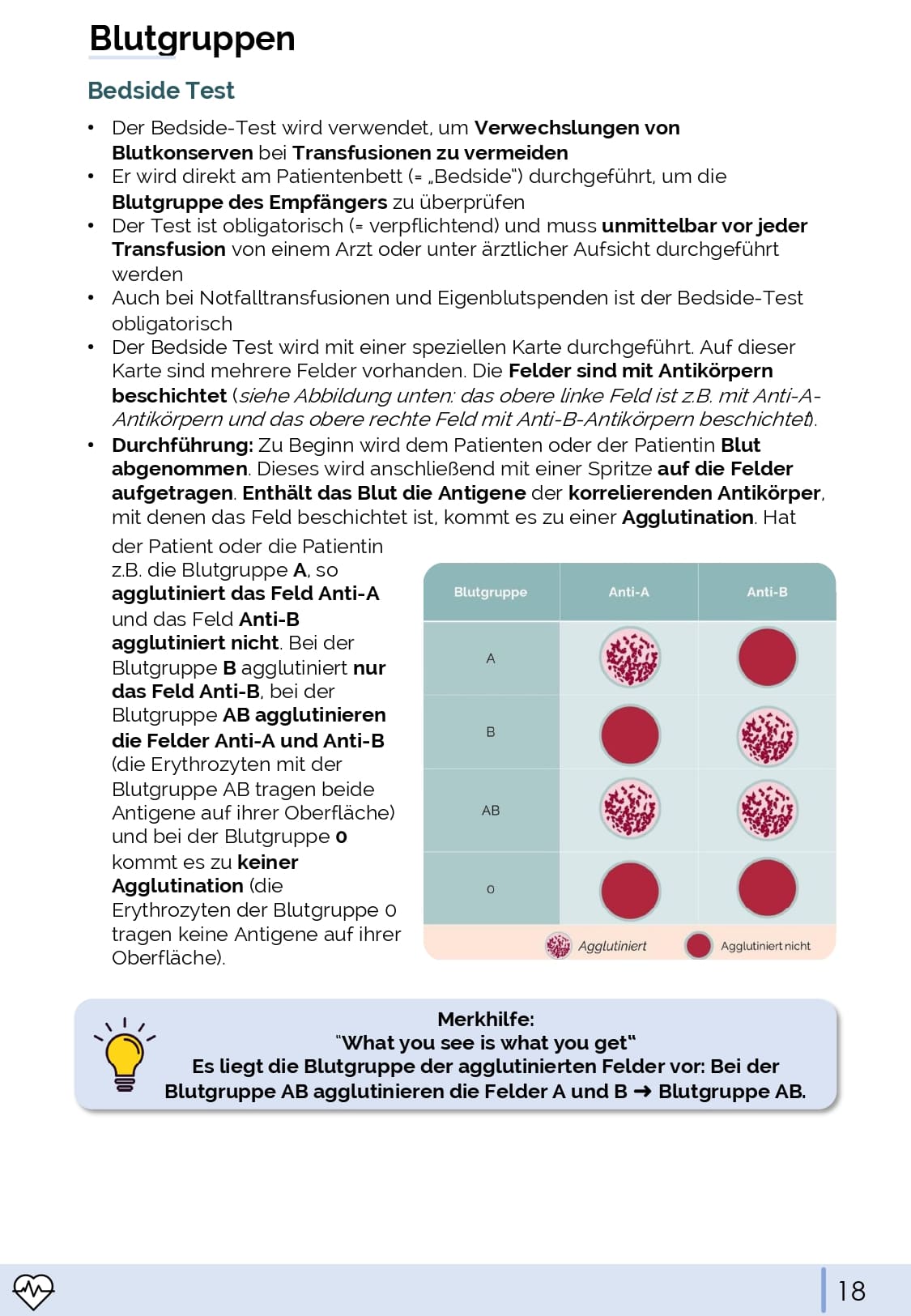 Physiologie-Skript Teil 4