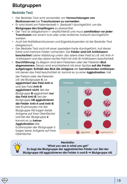 Physiologie-Skript Teil 4