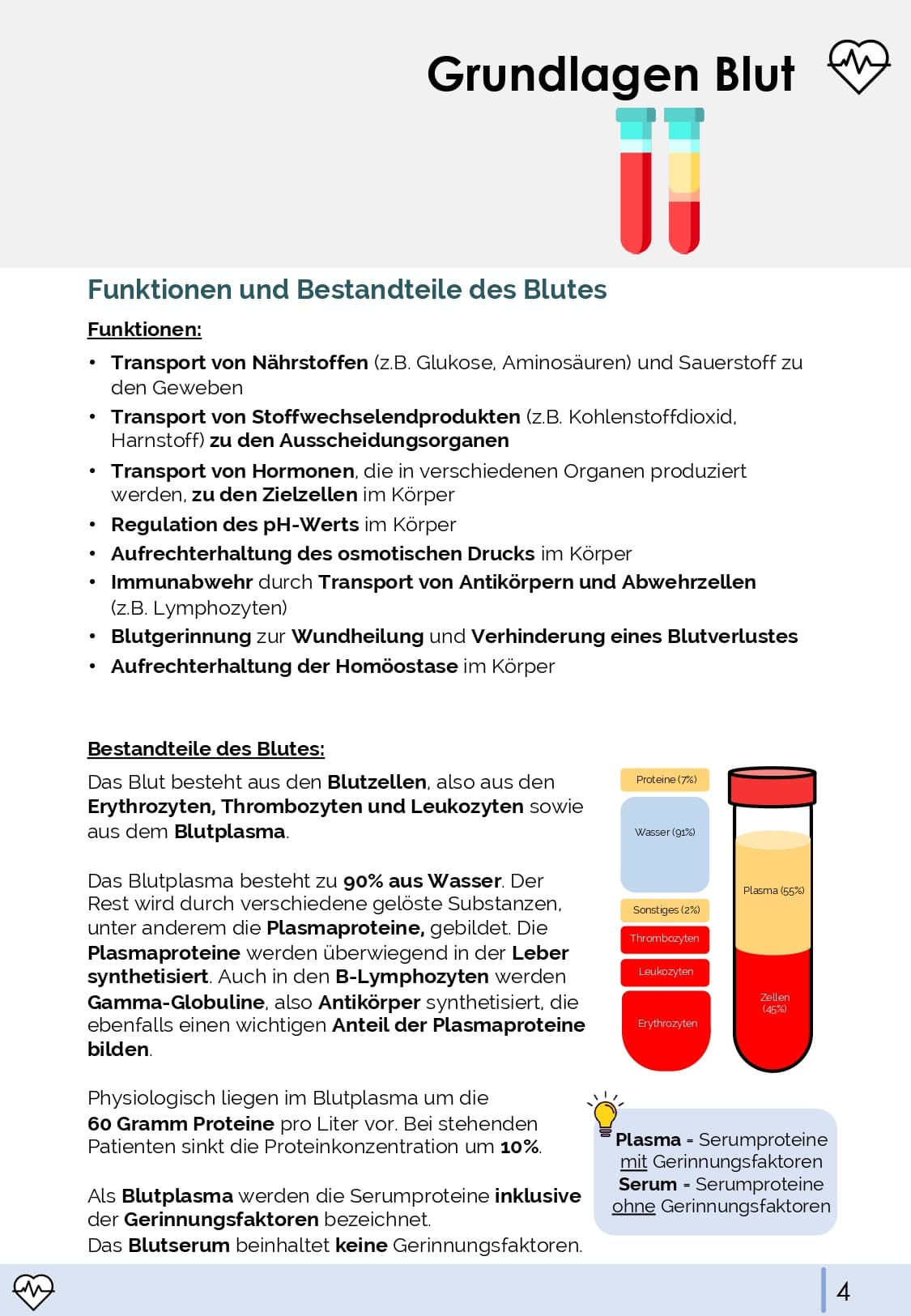 Physiologie-Skript Teil 4