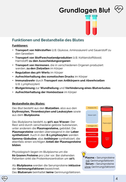 Physiologie-Skript Teil 4