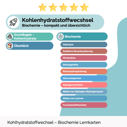 Lernkarten - Kohlenhydratstoffwechsel - Medi Know