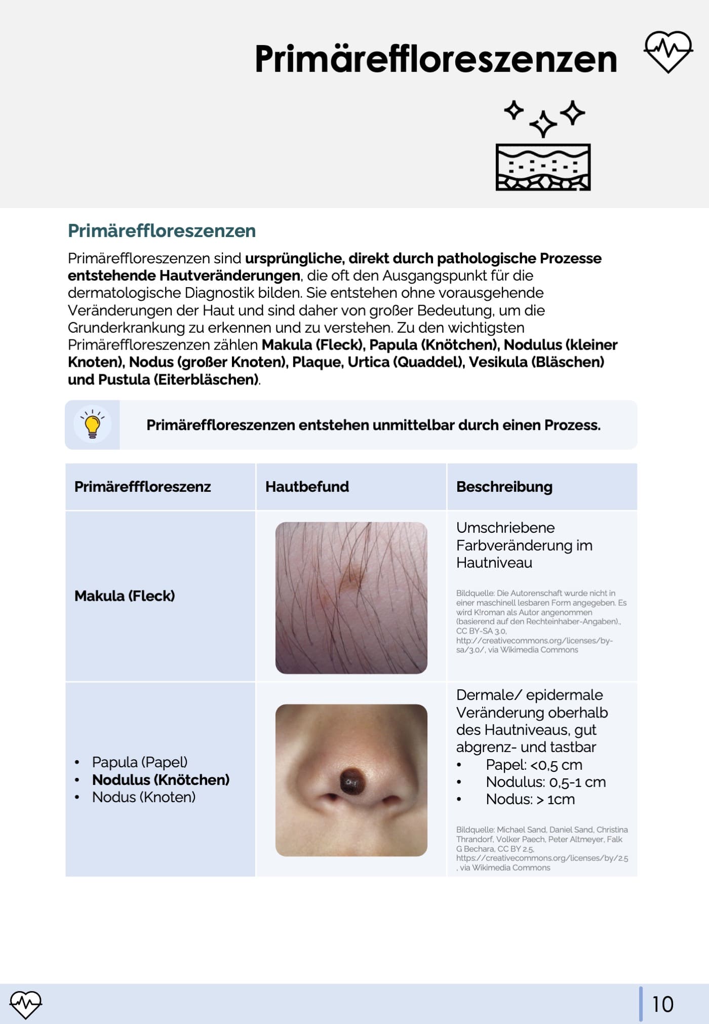 Blickdiagnosen Dermatologie