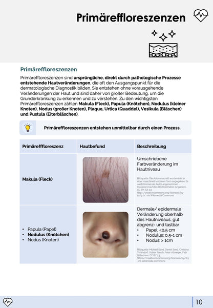 Blickdiagnosen Dermatologie