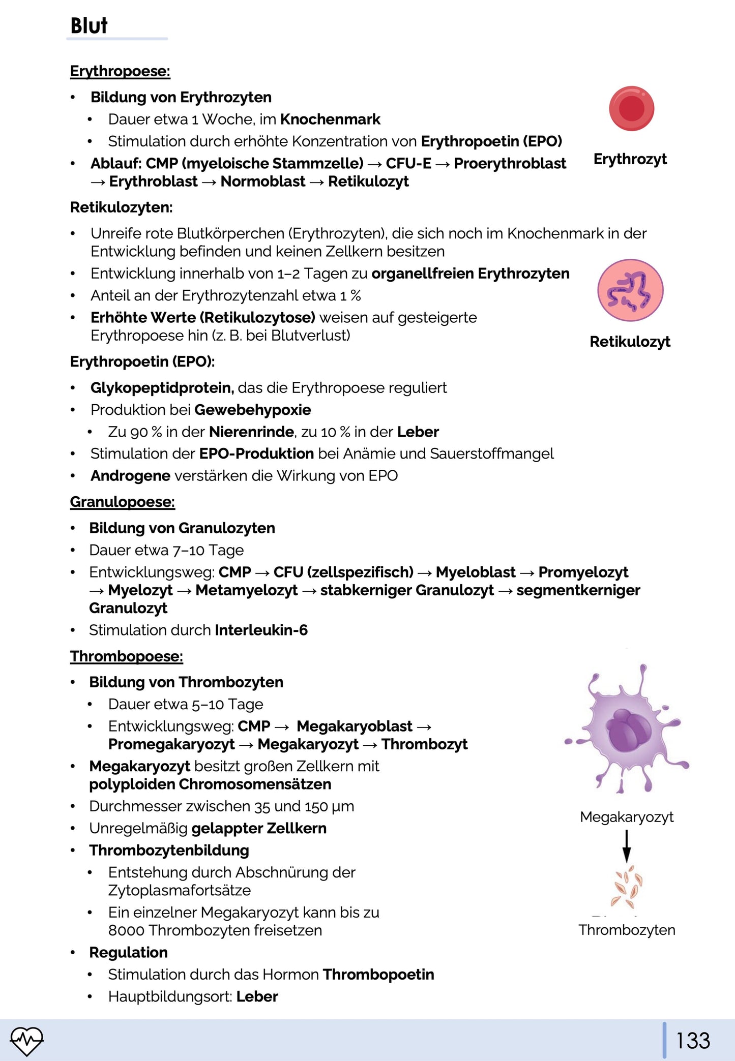 Histologie-Skript - Zytologie und Gewebelehre