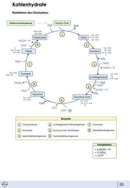 Biochemie-Skript Teil 1