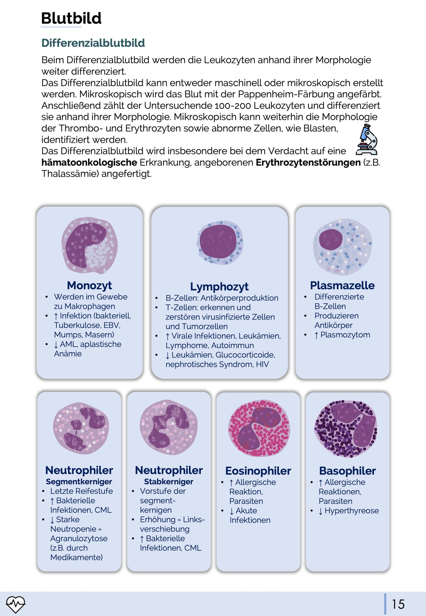 Physiologie-Skript Teil 4