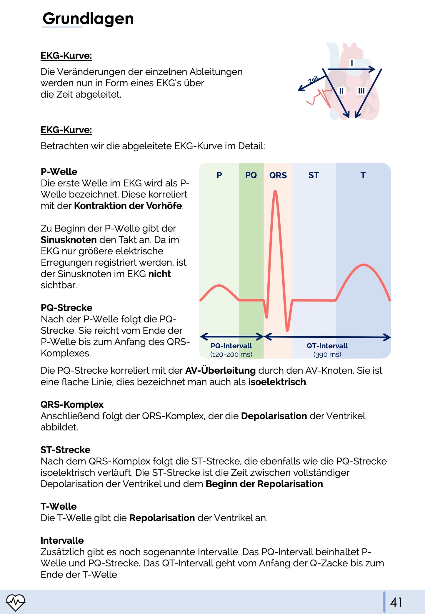 Anatomie & Physiologie-Bundle