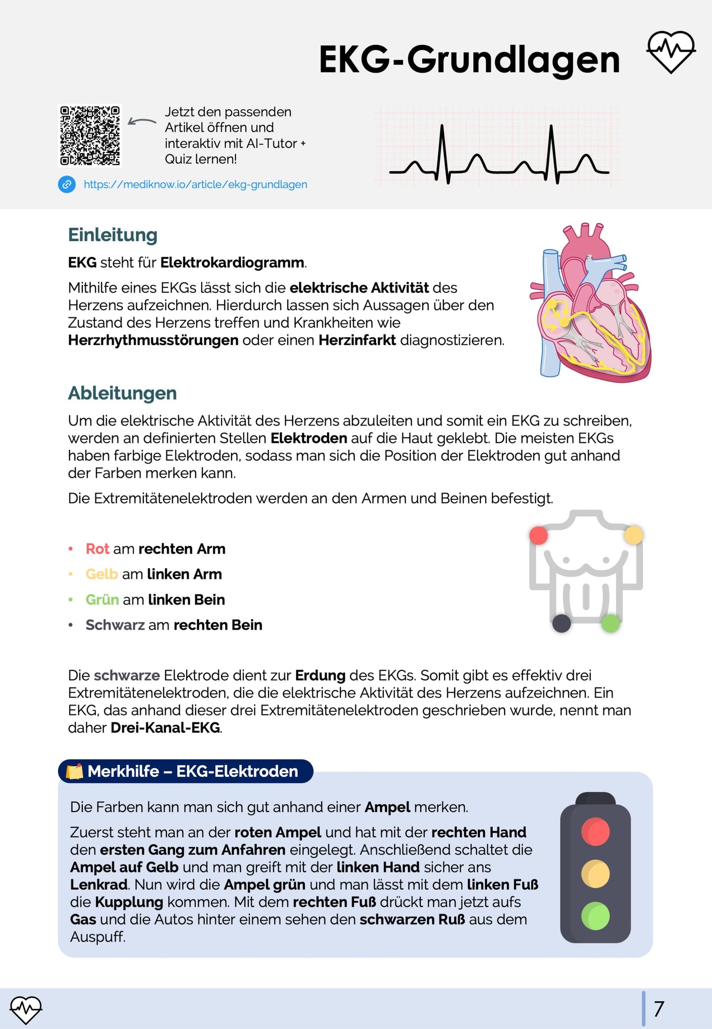 EKG-Skript (3. neue Auflage 02/2026)