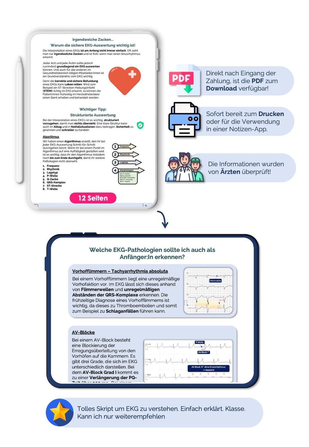 die-12-wichtigsten-ekg-diagnosen-auf-einen-blick-medi-know