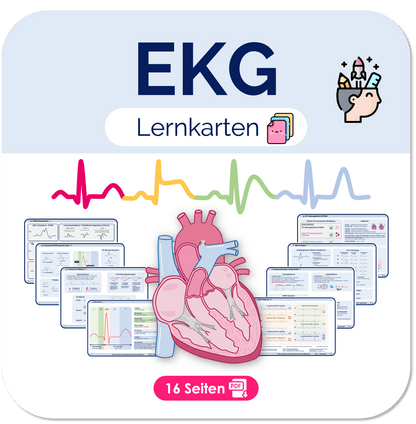 EKG-Lernkarten