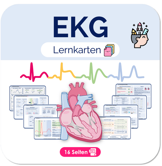 EKG-Lernkarten