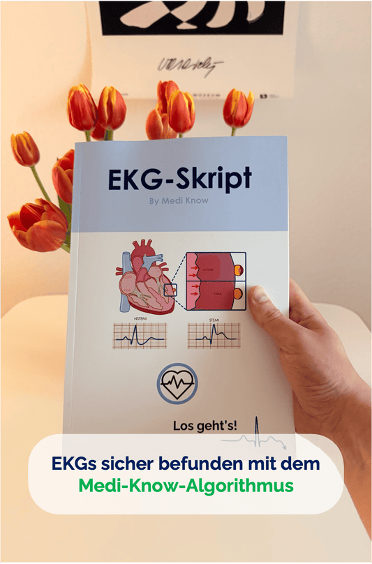 EKG-Skript (ausgedruckt + Versand)