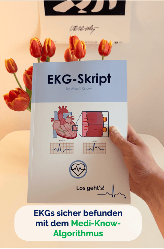 EKG-Skript (ausgedruckt + Versand)