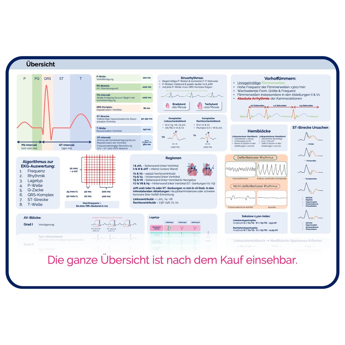 EKG-Premium-Bundle (33% off)