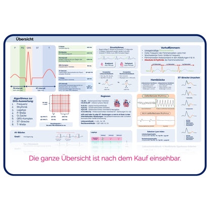 EKG-Premium-Bundle (33% off)