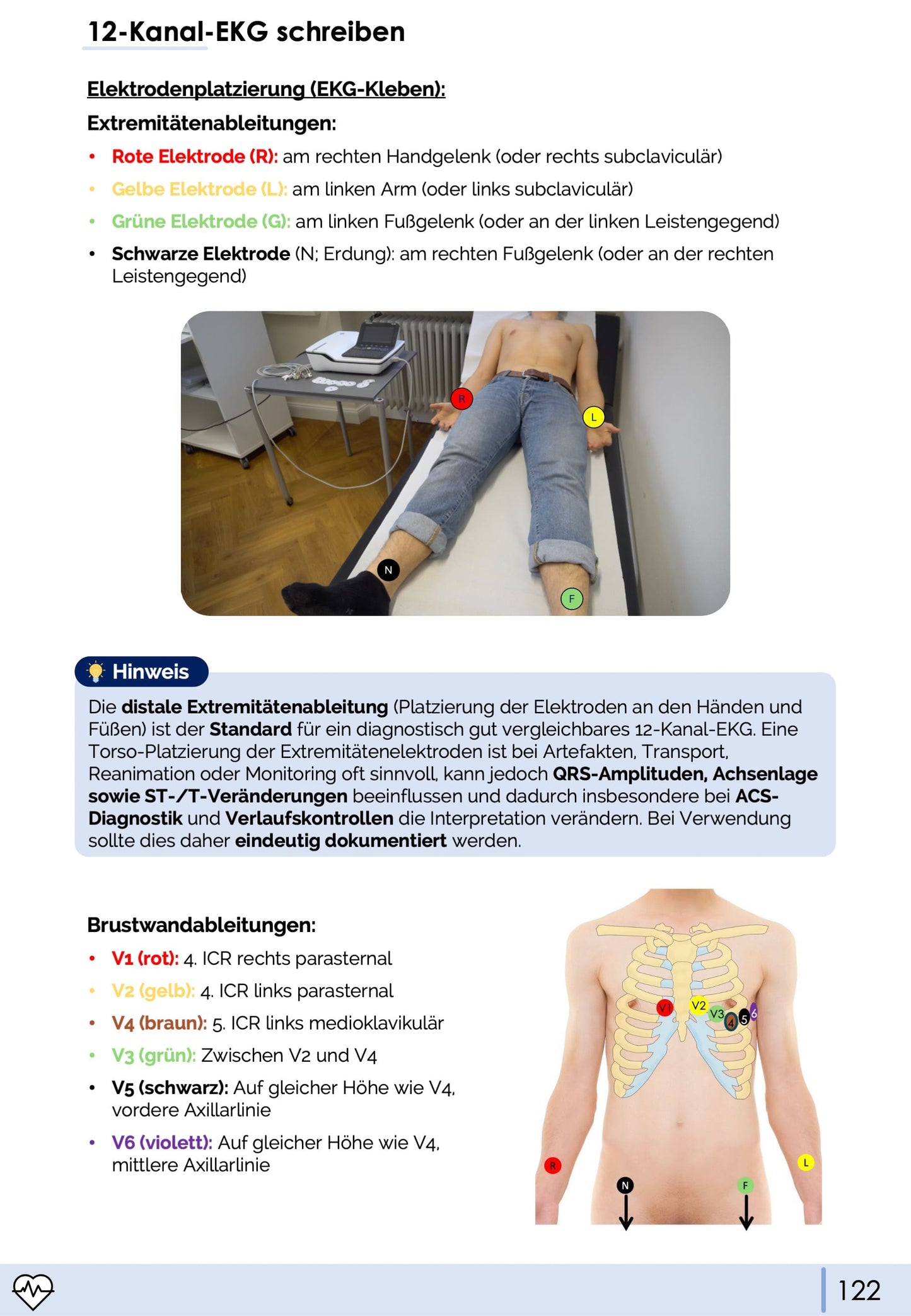 EKG-Premium-Bundle (33% off)