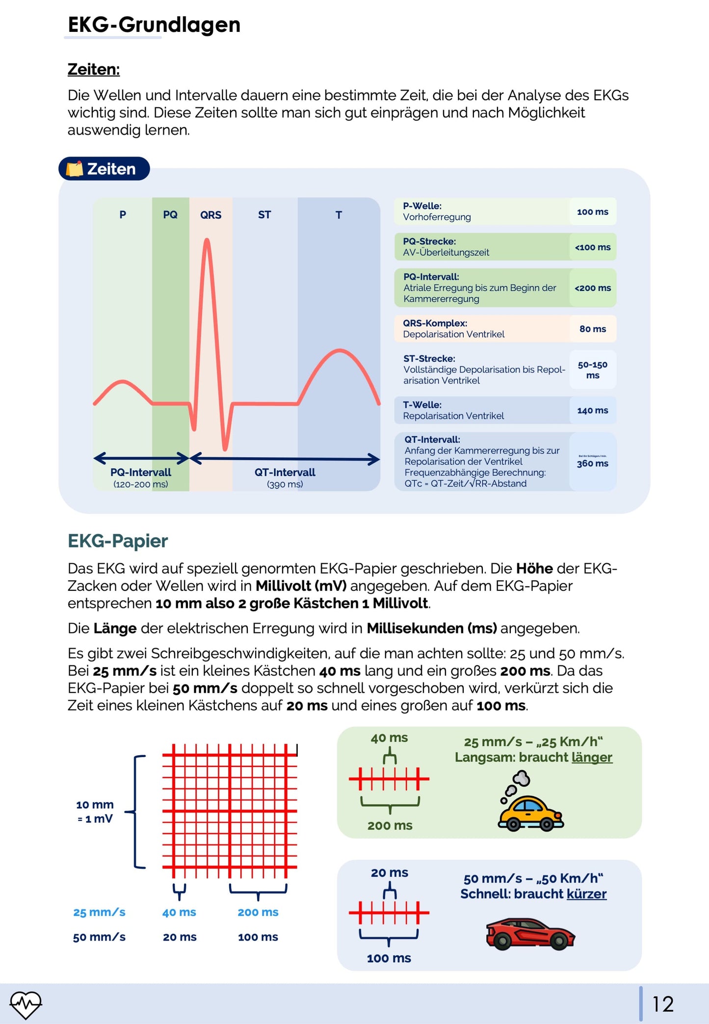 EKG-Premium-Bundle (33% off)