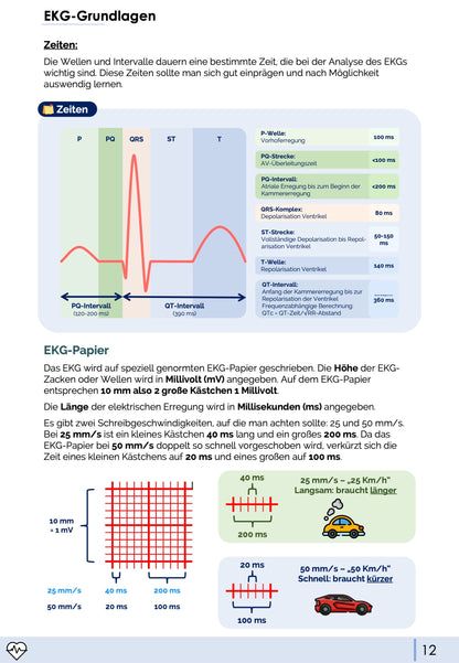 EKG-Premium-Bundle (33% off)