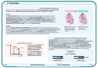 Herz (Physiologie) - Lernkarten