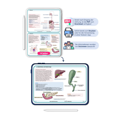 Lernkarten Verdauungstrakt (Anatomie) - Medi Know