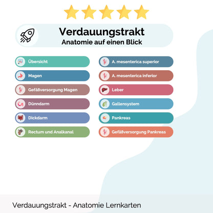 Lernkarten Verdauungstrakt (Anatomie) - Medi Know