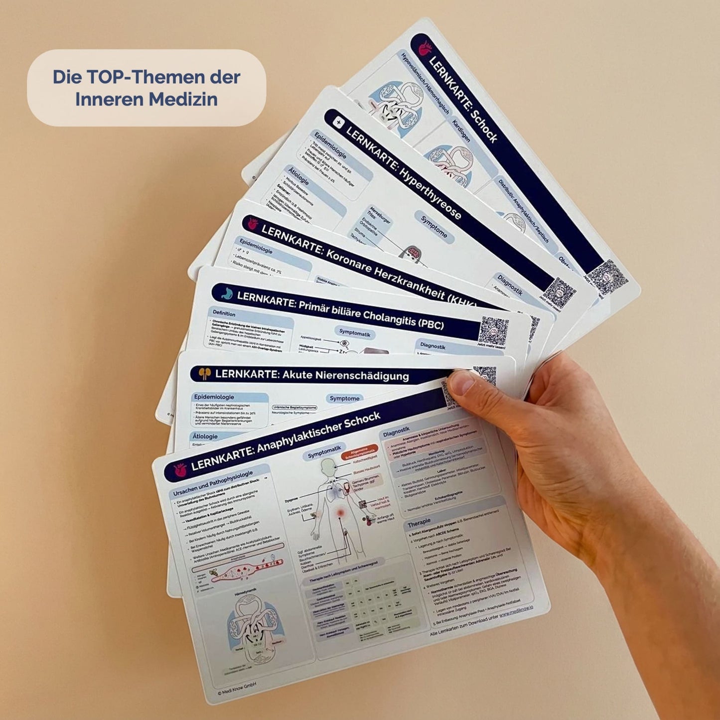 TOP 60 Lernkarten - Krankheitsbilder auf einen Blick (ausgedruckt + Versand)