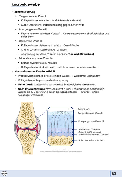 Histologie-Skript - Zytologie und Gewebelehre