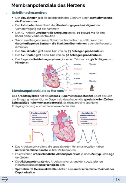 Physiologie-Skript Teil 1