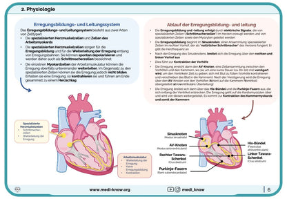 Herz (Physiologie) - Lernkarten