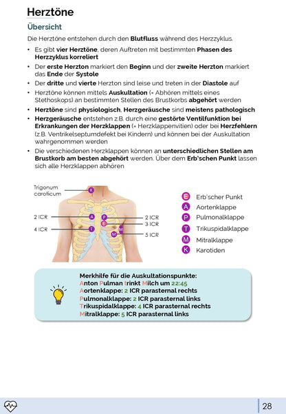 Physiologie-Skript Teil 1