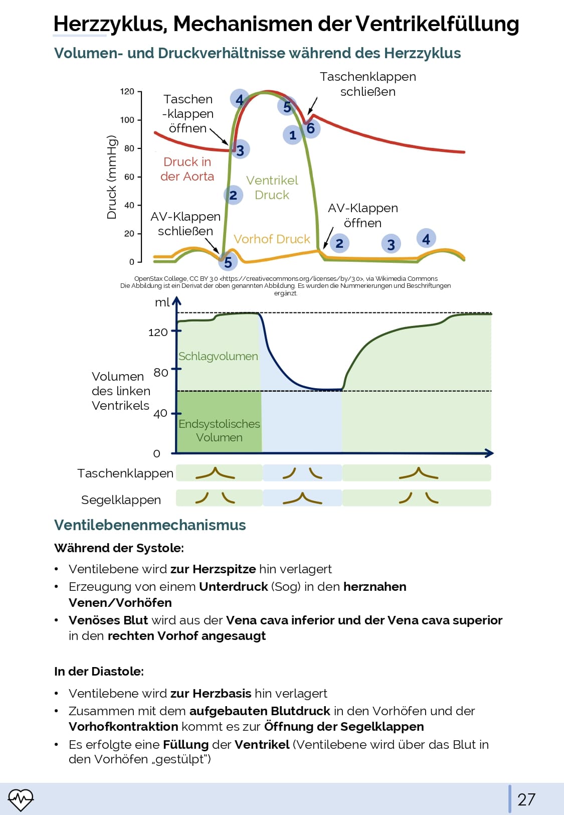 Physiologie-Skript Teil 1