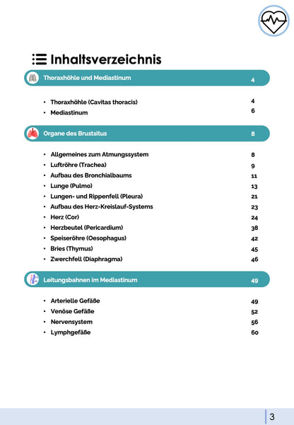 Anatomie II.I - Brustsitus