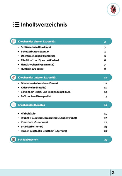 Knochen (Anatomie) - Lernkarten