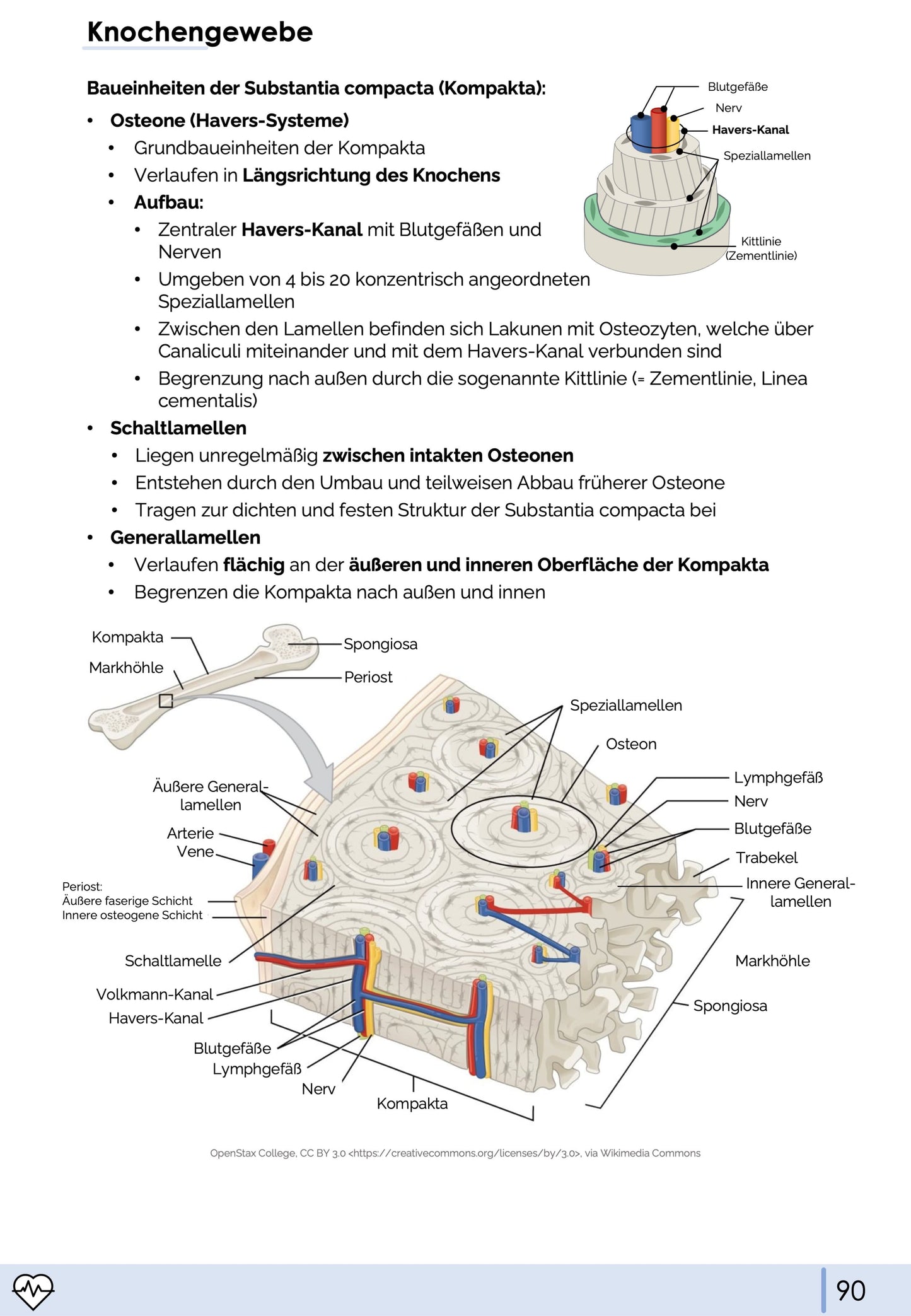 Histologie-Skript - Zytologie und Gewebelehre