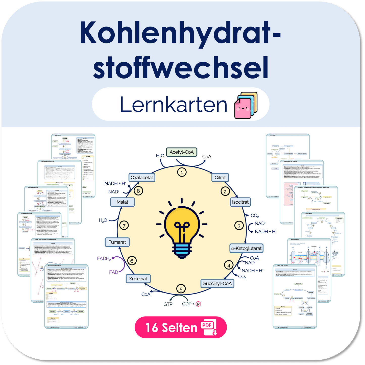 Lernkarten - Kohlenhydratstoffwechsel - Medi Know