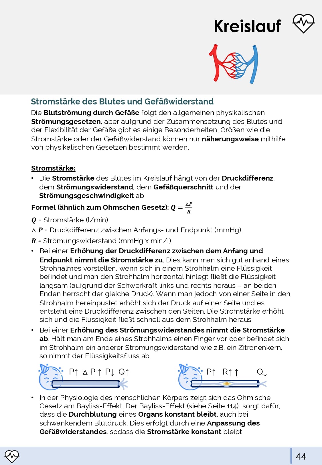 Physiologie-Skript Teil 1